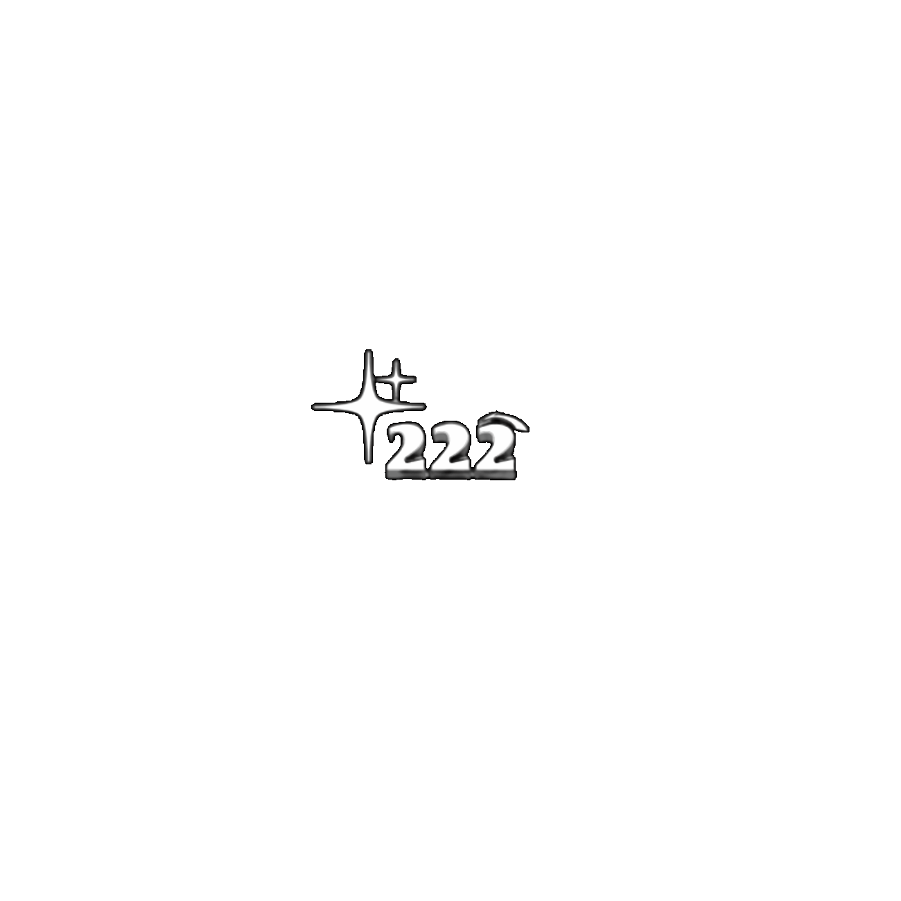 OFFICIAL 222 APPAREL